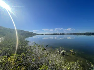 Additional funding secured to strengthen biodiversity conservation in new Caribbean Key Biodiversity Areas (KBAs) under the Critical Ecosystem Partnership Fund (CEPF) phase II investment